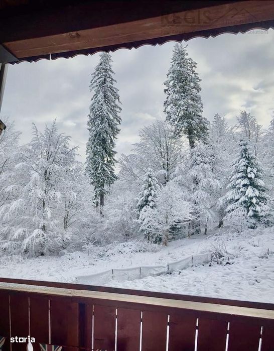 OFERTA in Poiana Brasov, 3 camere de vazare