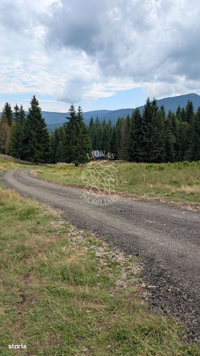 OFERTA! Teren intravilan 800 mp cu utilitati-ideal cabana-Colibita