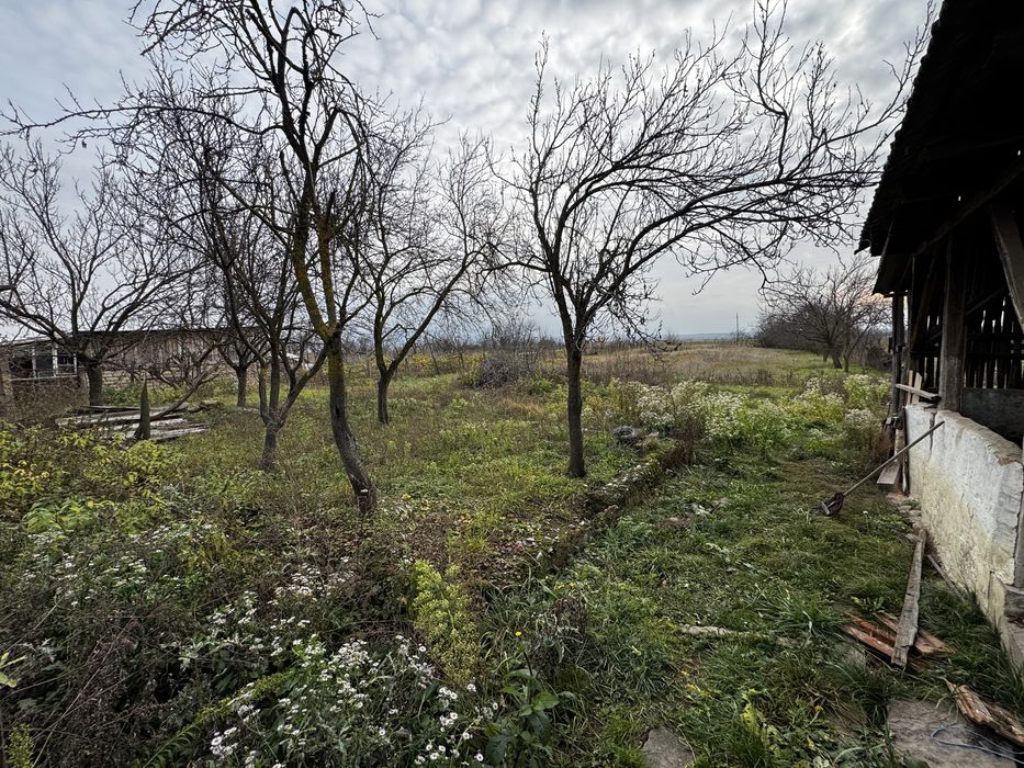 Casă de vânzare sat Râpa