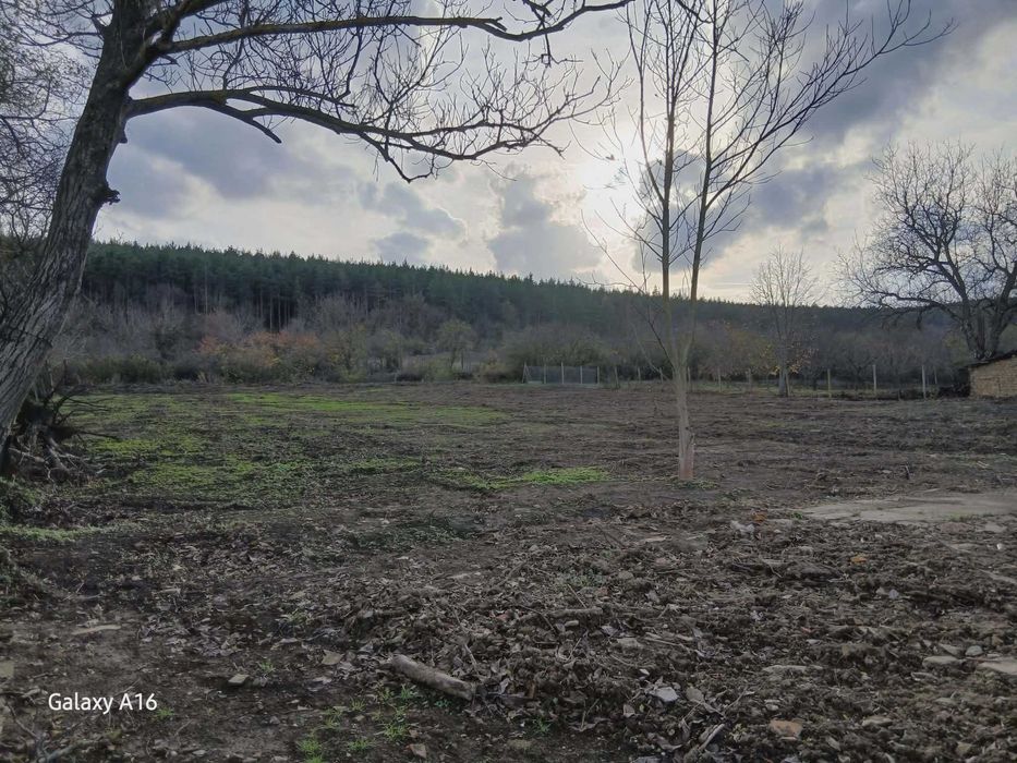 Недвижим имот в гр. Смядово