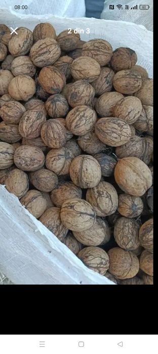 Vând nuci.        .