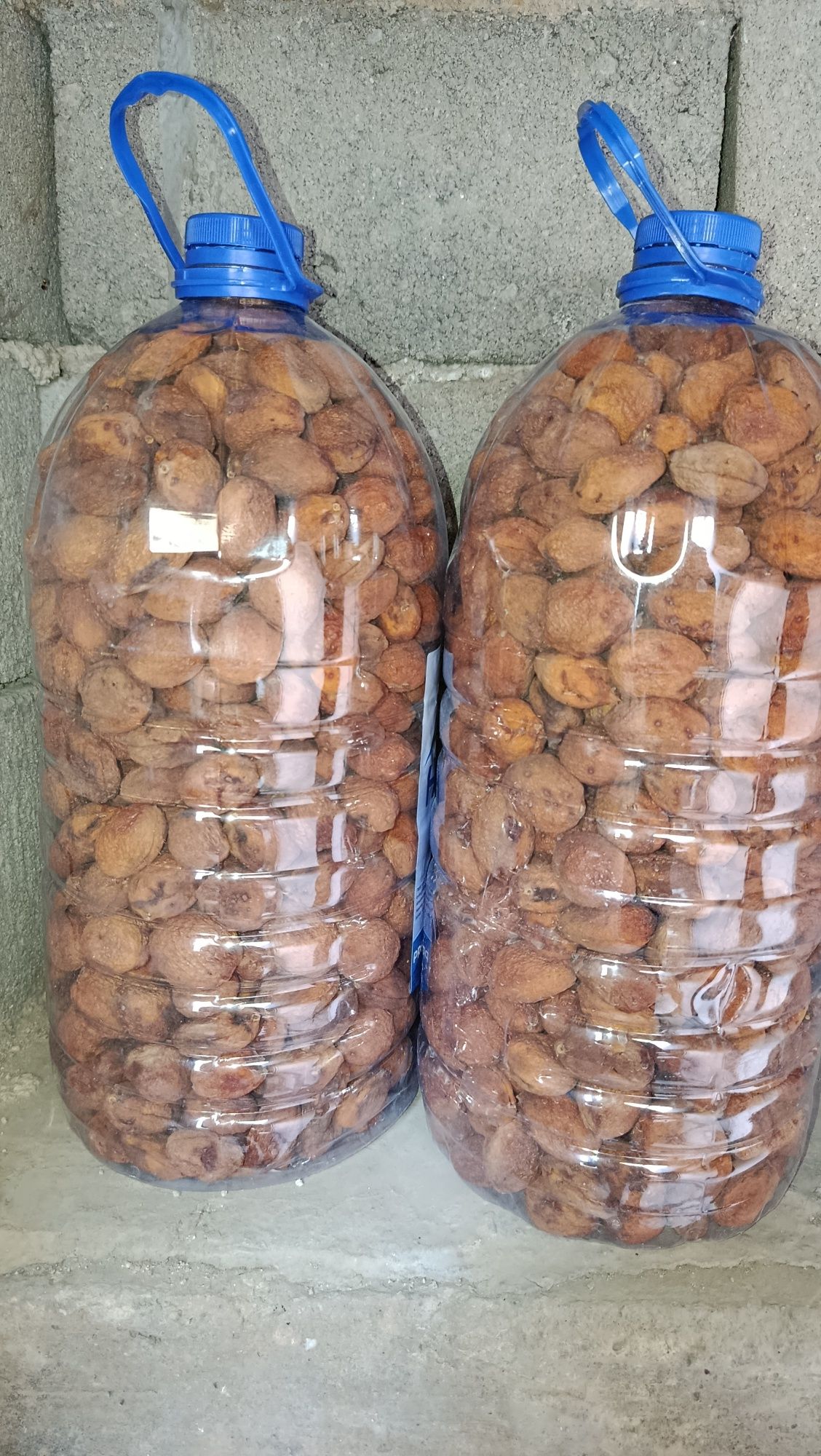 Урик коки натуралный