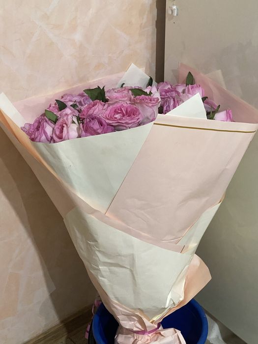 Роза метровые 51 штука