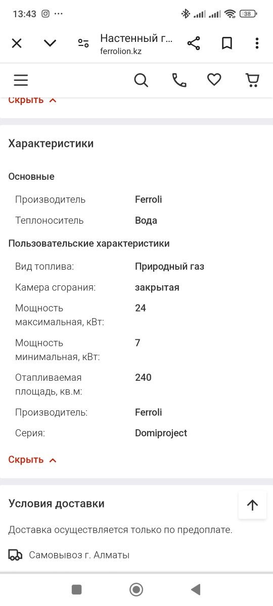 Газовый котел Ferroli