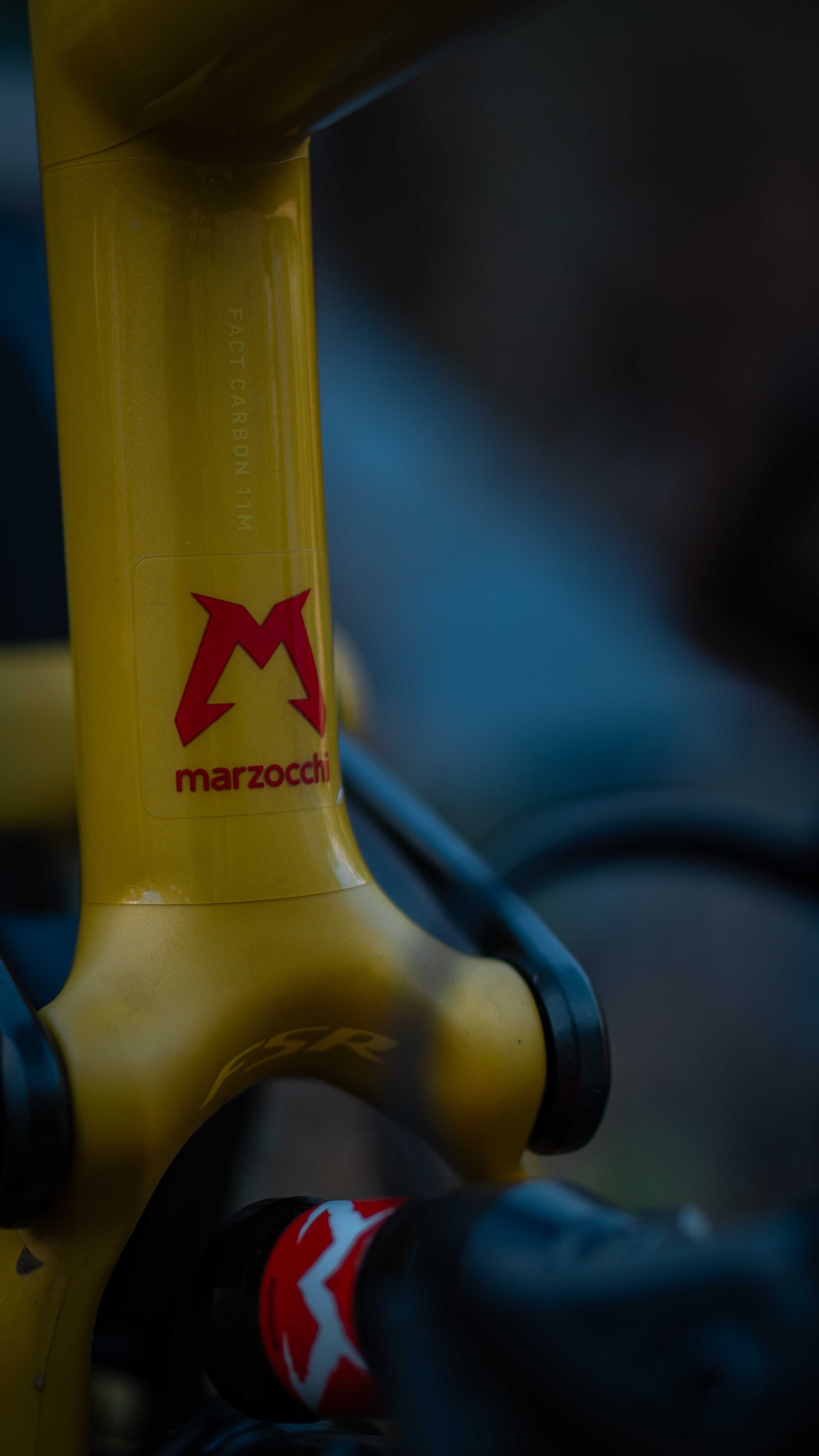 Specialized Kenevo SL 2 / 2024 / размер S4 / Mullet setup