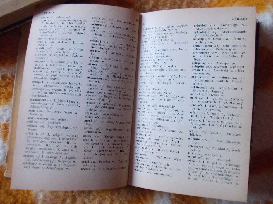 Dictionar de buzunar Roman-German,German-Roman
