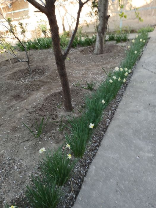 Yer sotiladi Chirchiq sh.