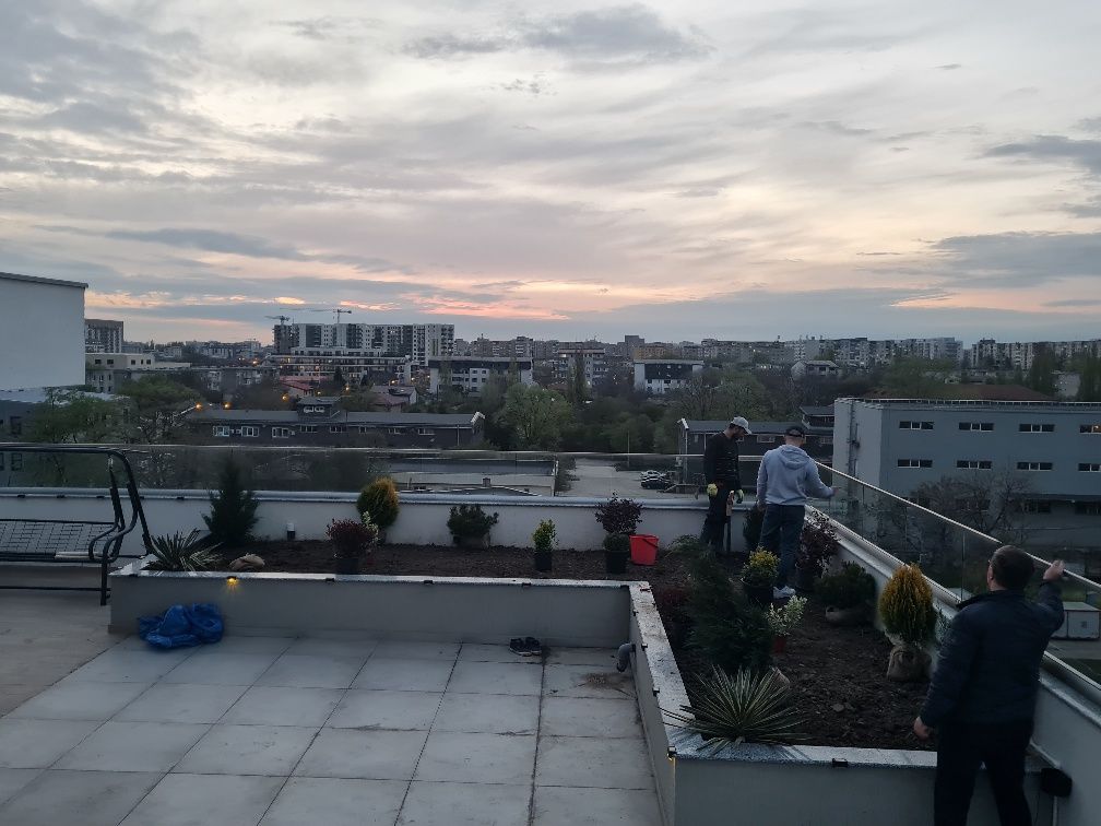Amenajari curti si gradini,constructii interoare și exterioare