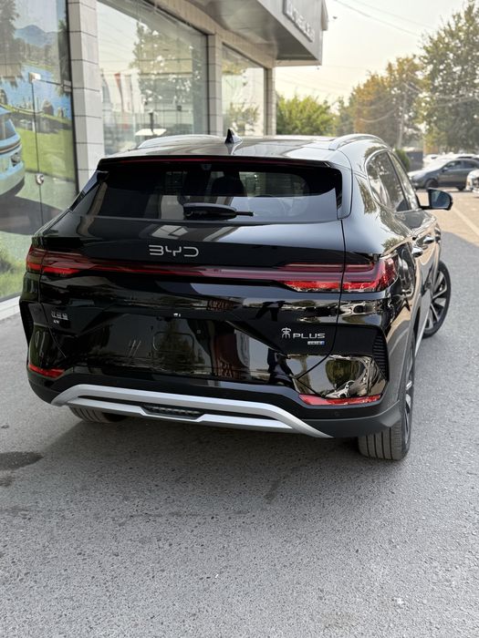 Byd champion smart