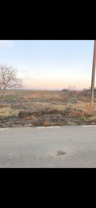 Vând teren intravilan 1.100 mp în Cenad județul Timiș 8 € / mp