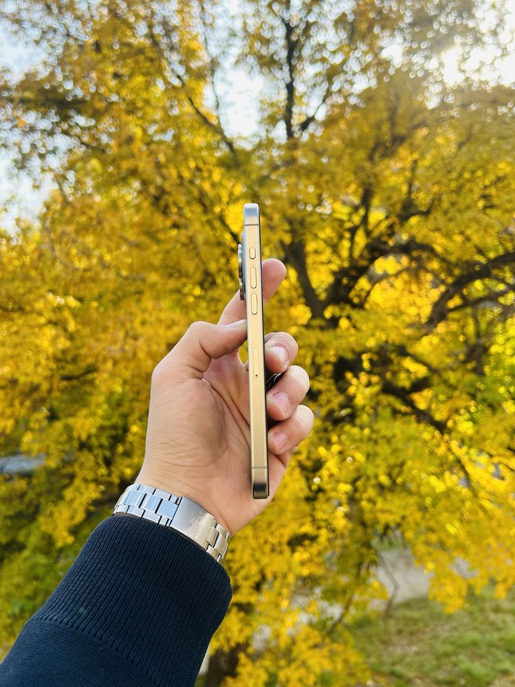 IPhone 15 Pro Max 256