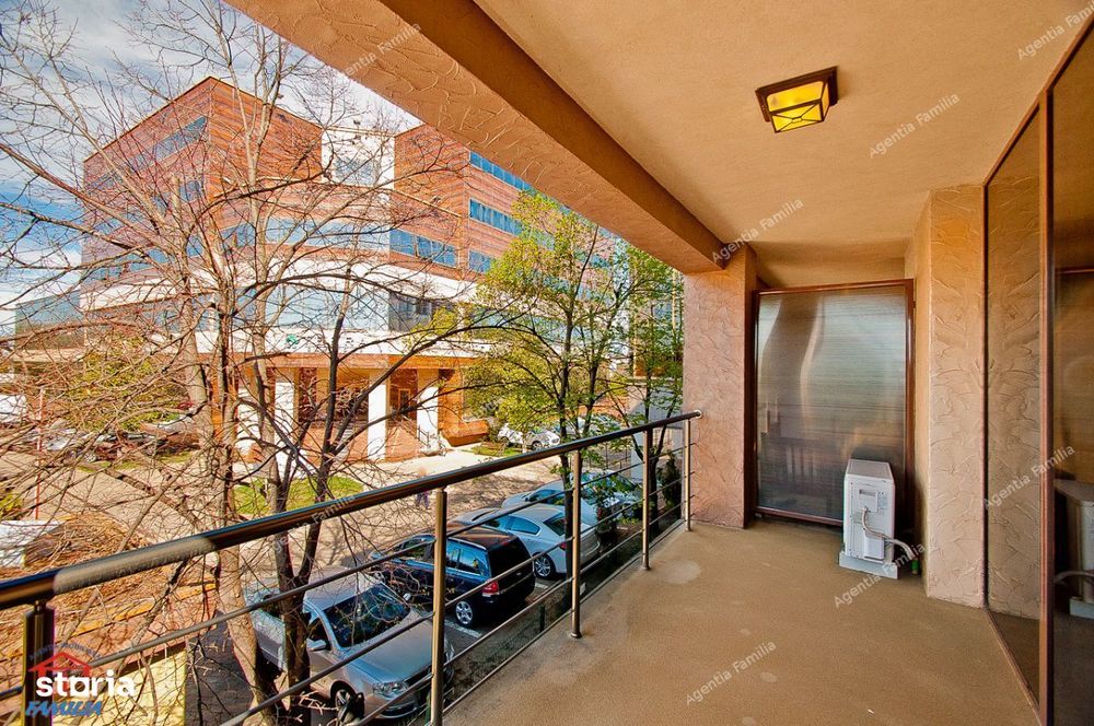 Studiouri de inchiriat Viva