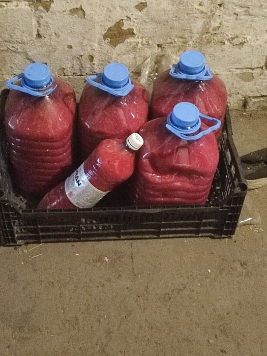 Кобра из домашних помидор