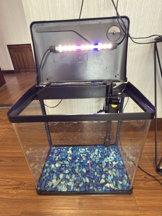 akvarium 25 litrli. ideal
