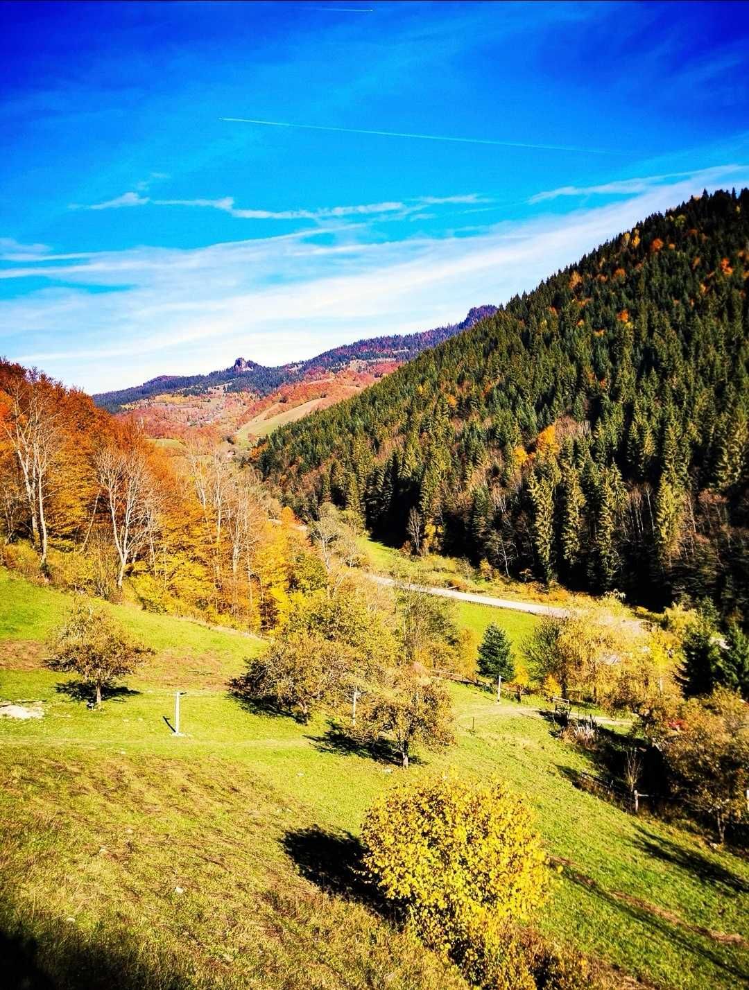 Afacere turism + teren + casă Apuseni