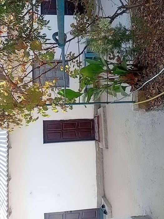 SURXONDARYOI Qumqo'rg'on tumani