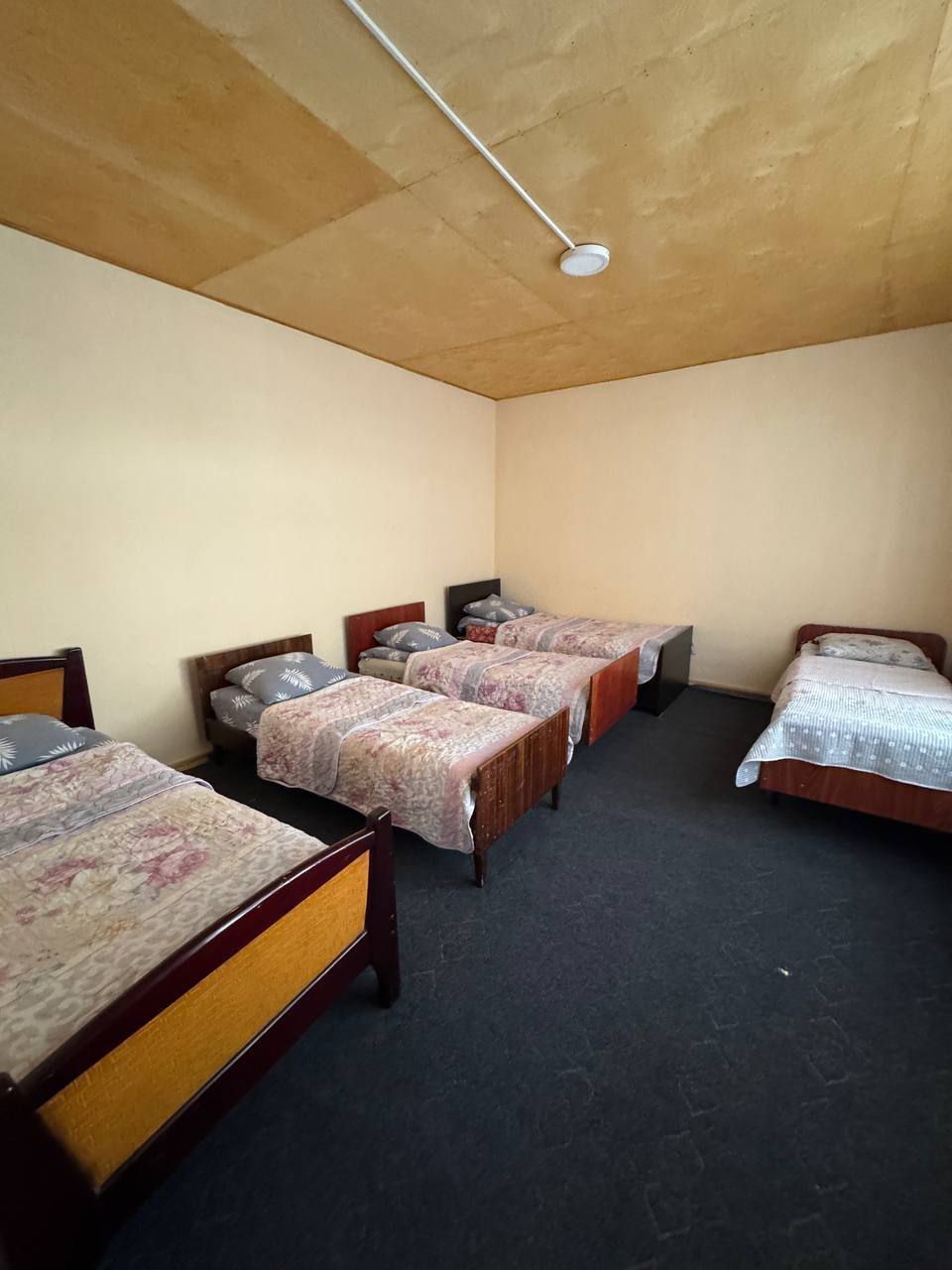 Dacha boĝ manzada
