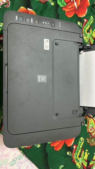 Принтер canon MG2451S pixma