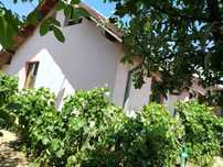 Vind casa parter mansarda cu 4camere bae buc bordei carpenului