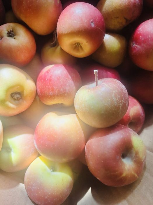 Яблоки домашние ….