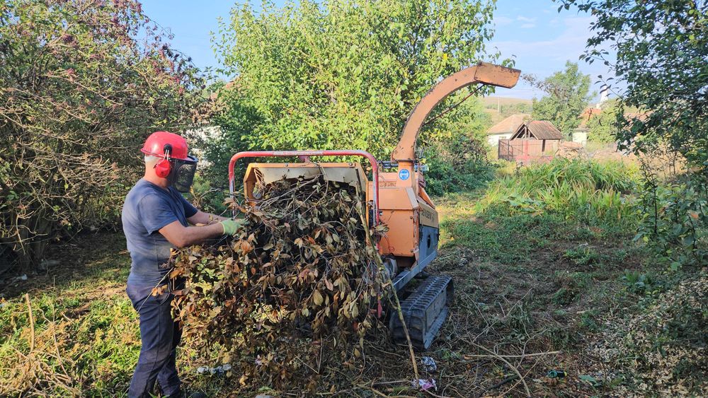 ARBORIST.RO - CLUJ NAPOCA - Toaletare arbori, Taiat arbori copaci pomi