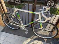 Cursiera PUCH Team Replica