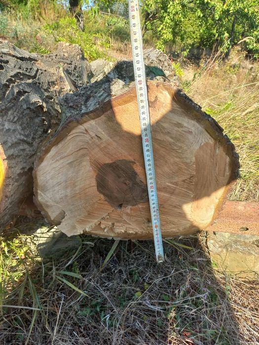 Орех трупи дървен материал