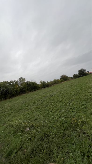 Teren Intravilan