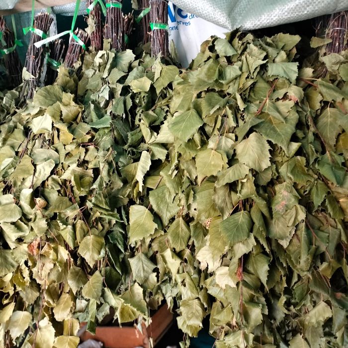 Березовые веники