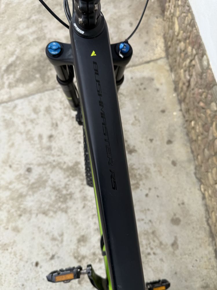 Bulls bushmaster RS carbon 29