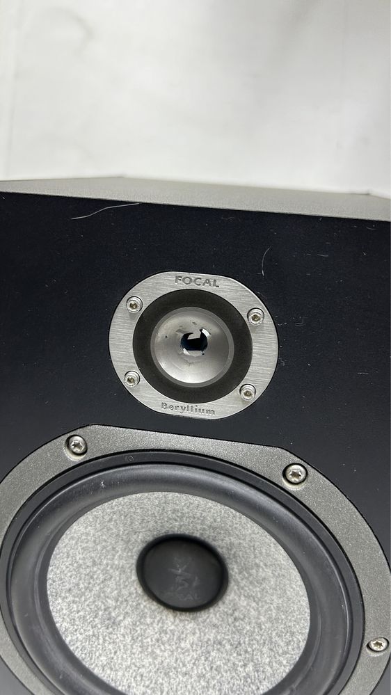 Музыкальная колонка FOCAL