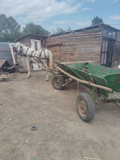 Vând iapă căruță românească