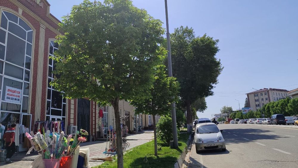 Продается магазин