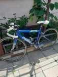 Cursiera Giant TCR