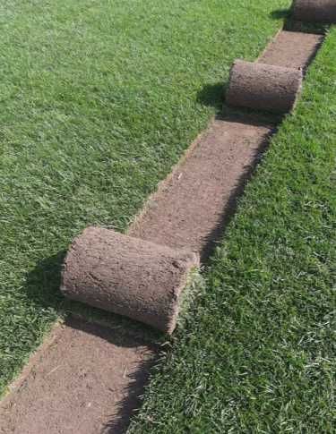 Gazon Rulou Si Sisteme de irigatii + Insamantare