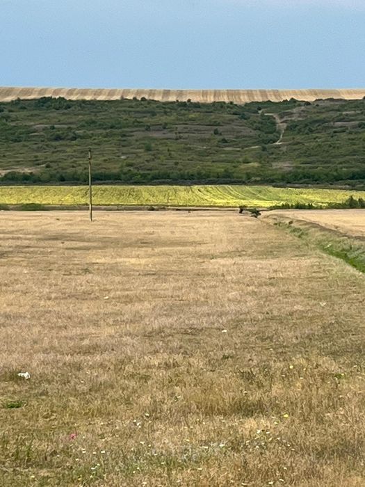 Vând 5 mii m.p. parcelabil,comuna Breasta,sat Valea Lungului,stradal,u