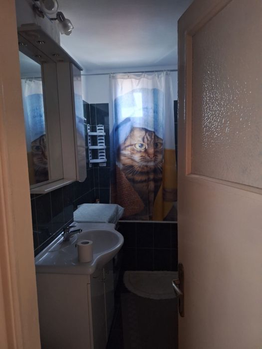 Apartament 2 camere central semidecomandat