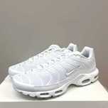 Nike Air Max Plus Tn Triple White (40-44 номер)