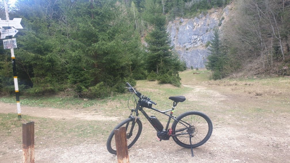 Bicicleta electrica FOCUS THRON2 6.8 ebike Bosch 29er size XL