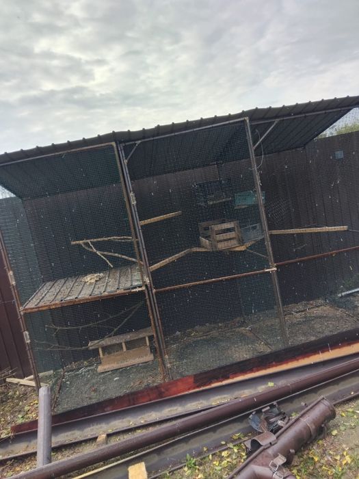 Vând cușcă porumbei