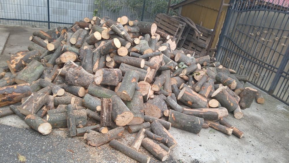 Vând lemne pentru foc fag