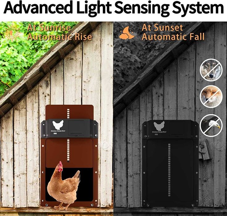 Автоматична врата за кокошарник със светлинен сензор