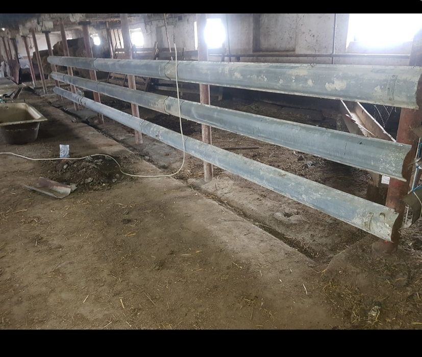 De vânzare grajd in Șiria.