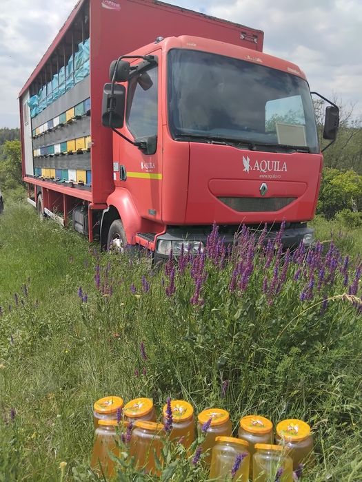 De vanzare camion apicol