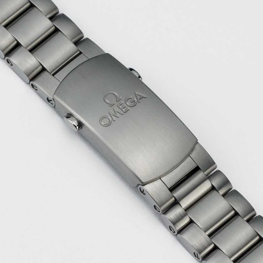 Omega Seamaster Planet Ocean 600M 42mm Titanium on titanium