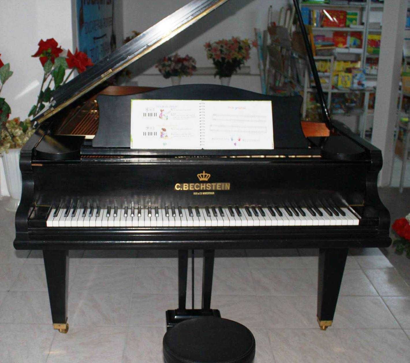 Pian de Concert - C. Bechstein B 203