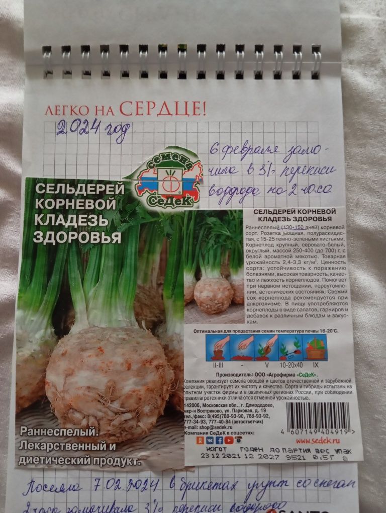 Продам рассаду корневого сельдерея