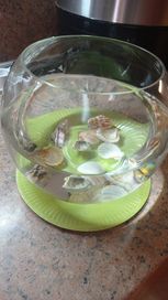 Стъклена купа за аквариум или декорация