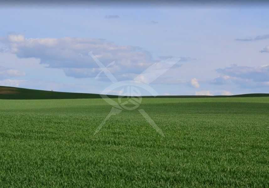 Парцел в Поморие 92875