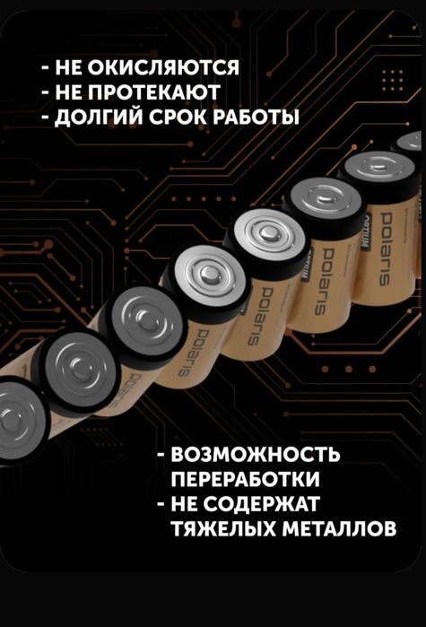 Батарейки Polaris, для газовой колонки тип D, набор 2 шт.
